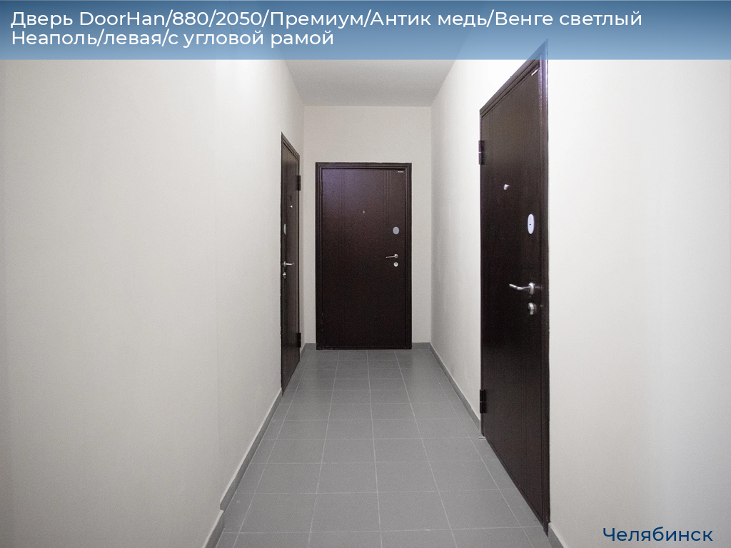 Дверь DoorHan/880/2050/Премиум/Антик медь/Венге светлый Неаполь/левая/с угловой рамой, chelyabinsk.doorhan.ru