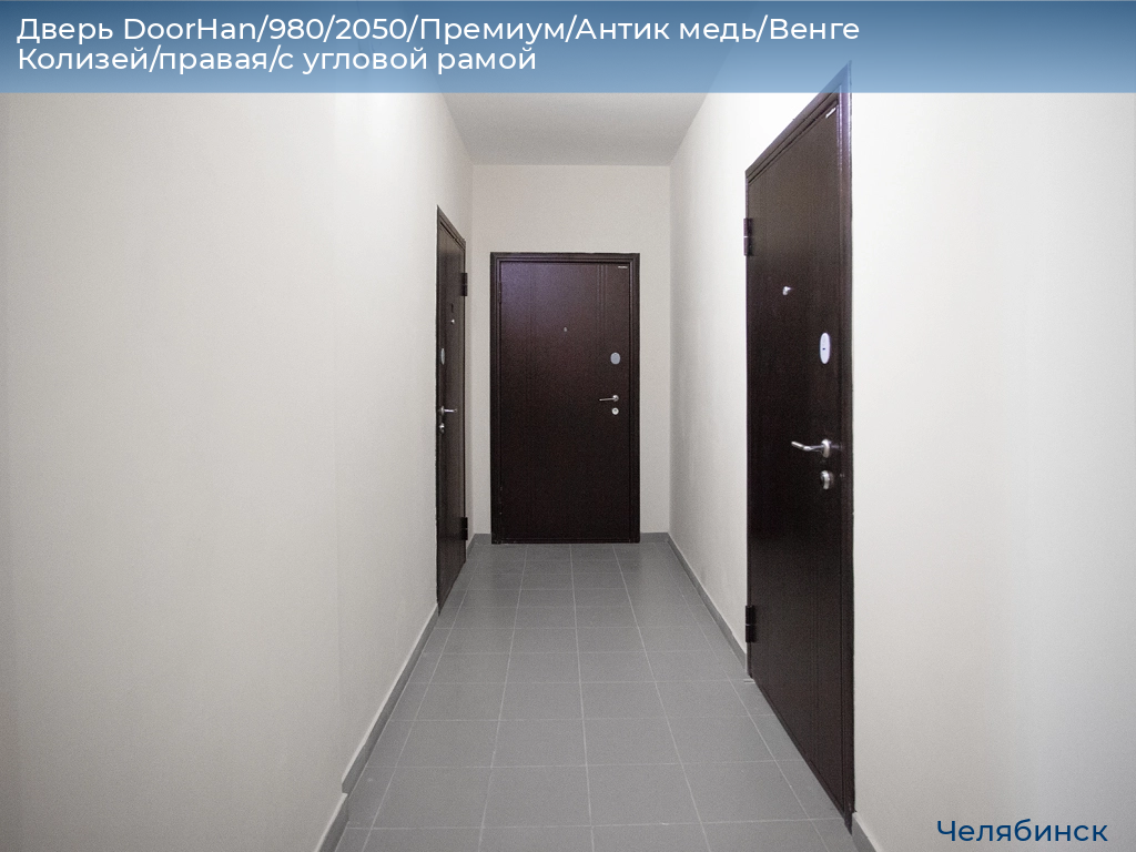 Дверь DoorHan/980/2050/Премиум/Антик медь/Венге Колизей/правая/с угловой рамой, chelyabinsk.doorhan.ru